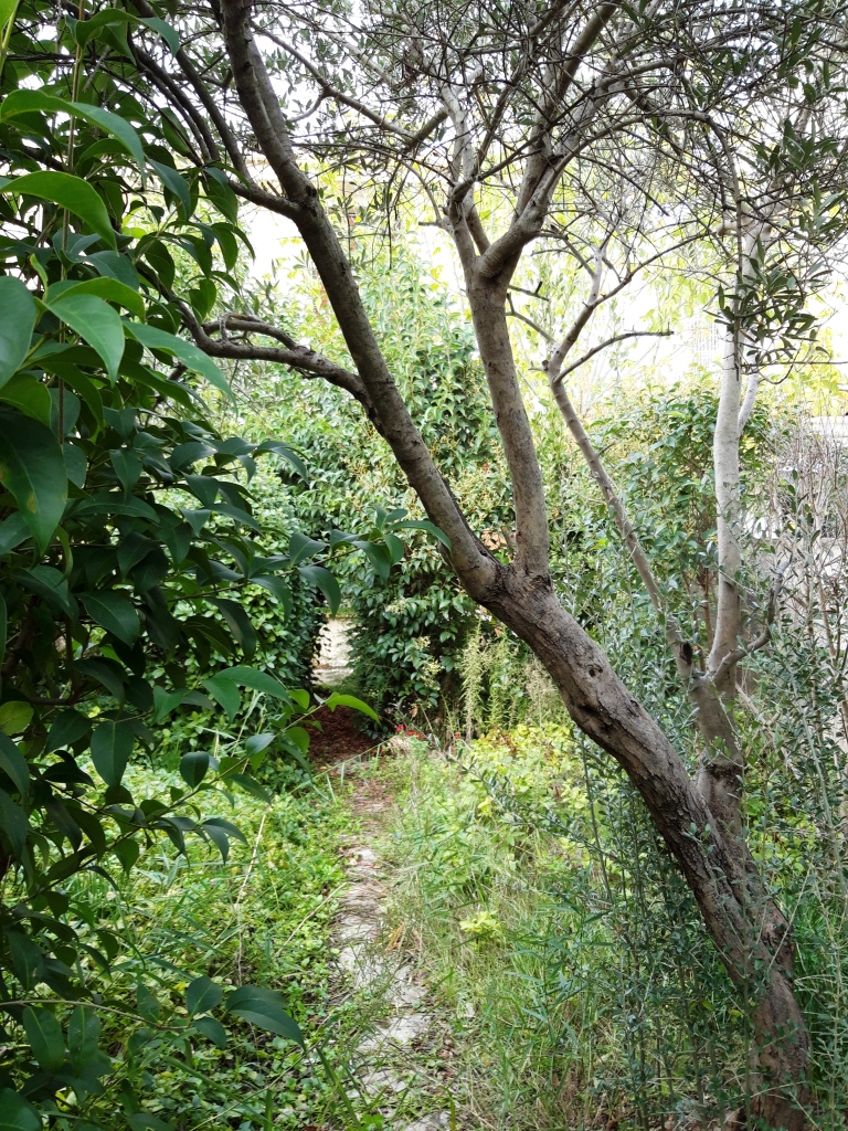 Donne-moi de mes nouvelles