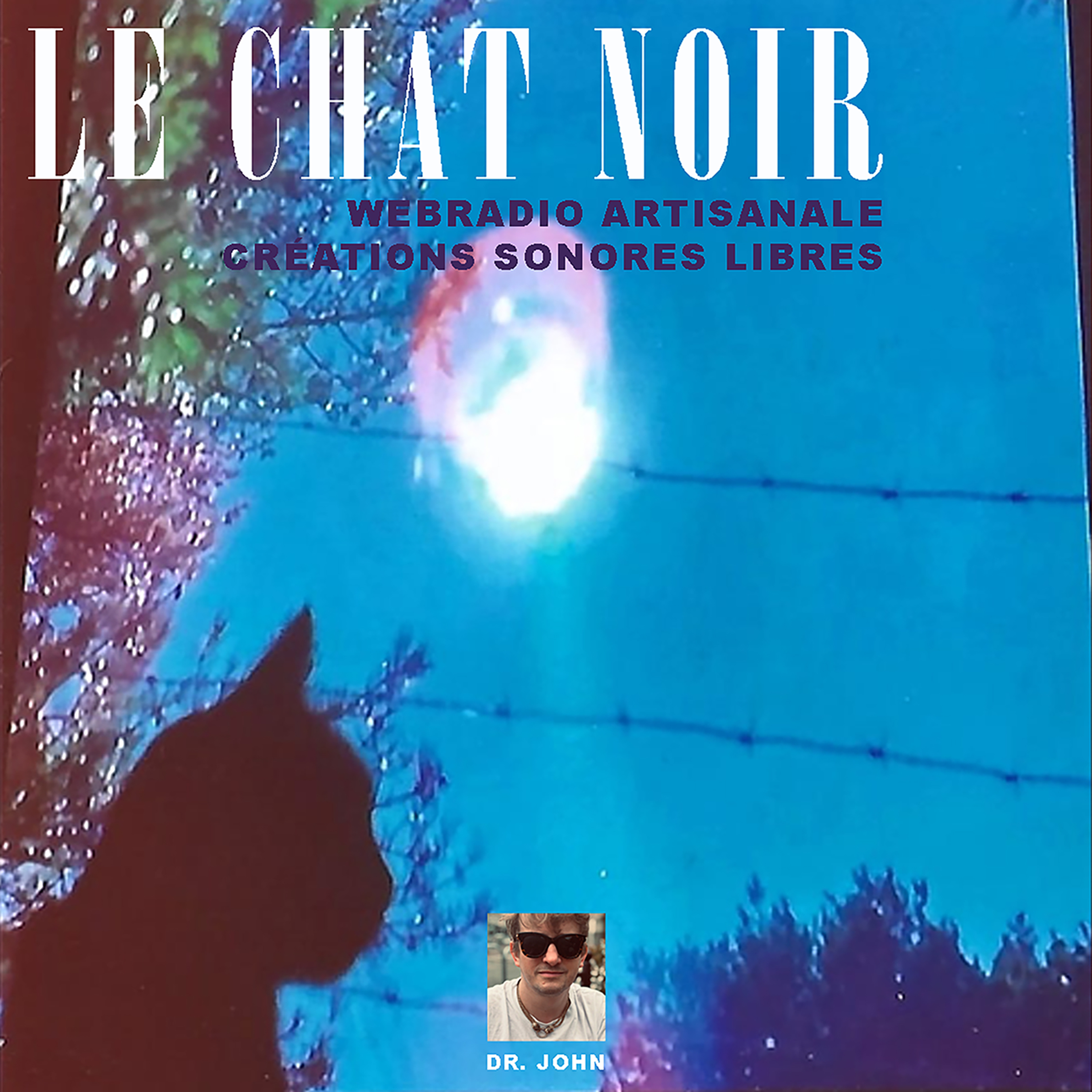 Le Chat Noir